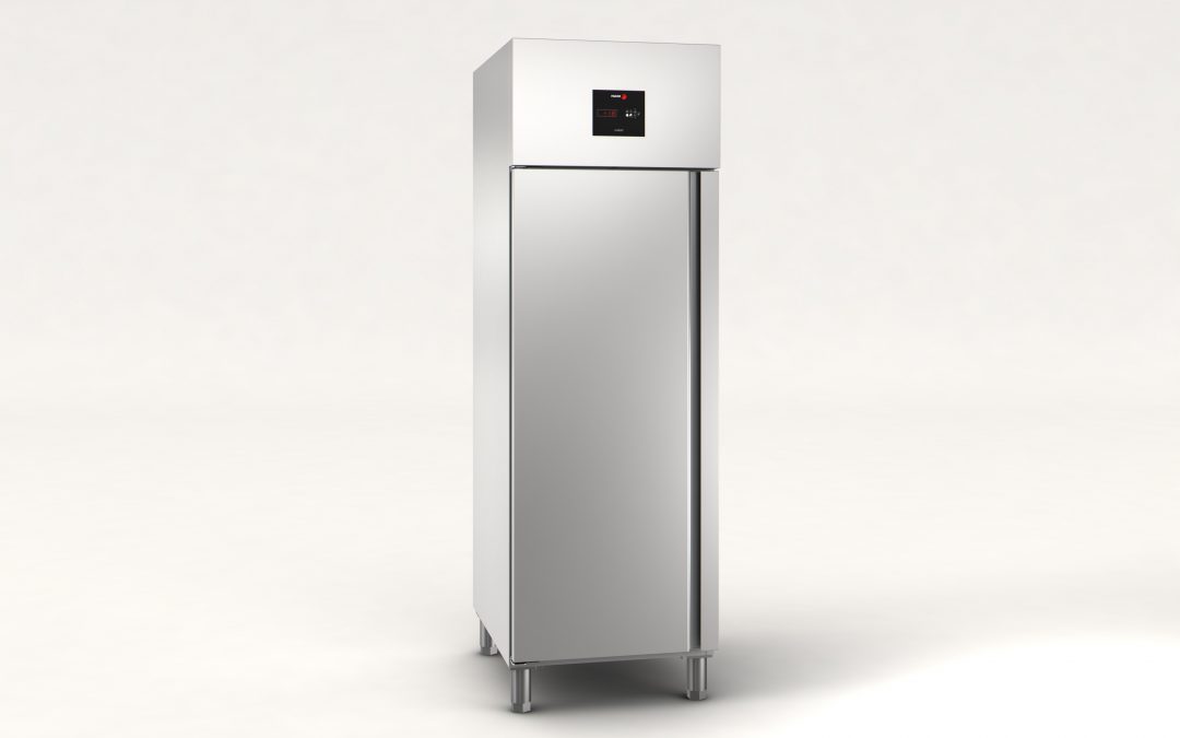 Álló hűtőszekrény EAFP-801